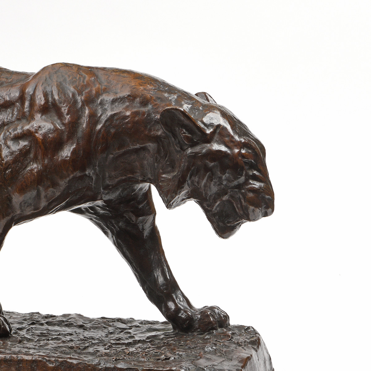 Albert Hager (1857-1940) - "lioness On The March"-photo-4