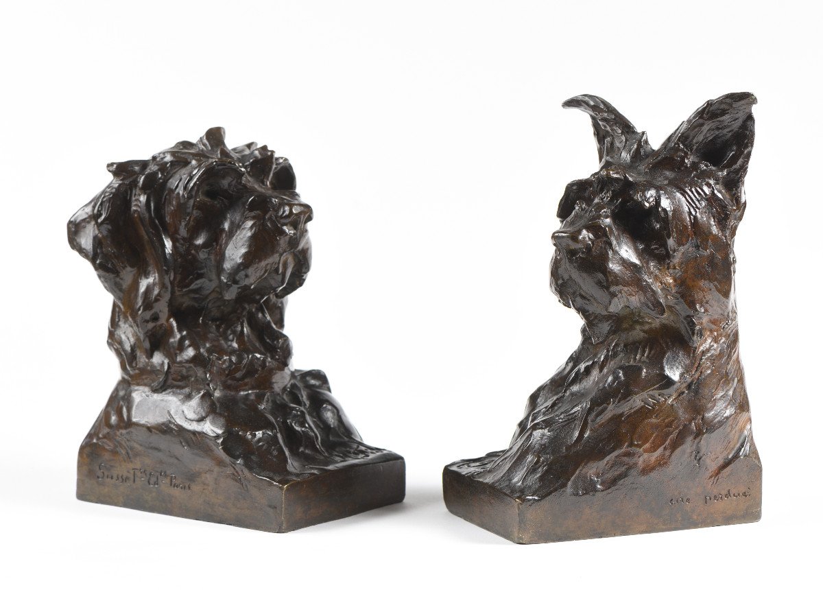 Maximilien-louis Fiot (1886-1953) - Pair Of Dog Busts-photo-2