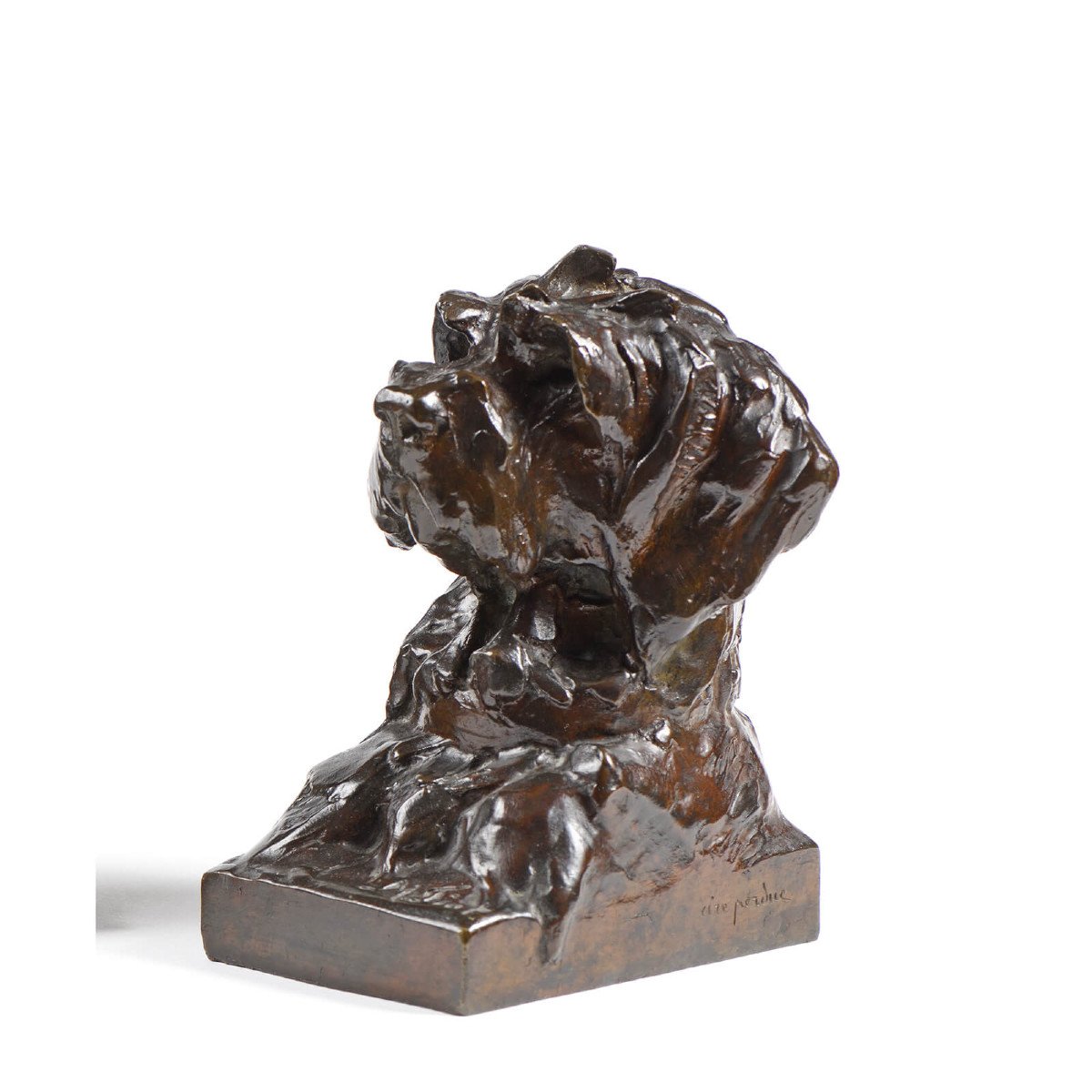 Maximilien-louis Fiot (1886-1953) - Pair Of Dog Busts-photo-3