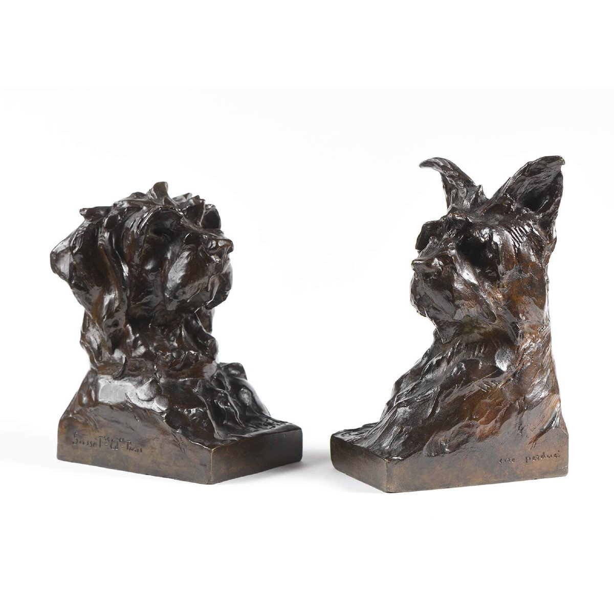 Maximilien-louis Fiot (1886-1953) - Pair Of Dog Busts-photo-4