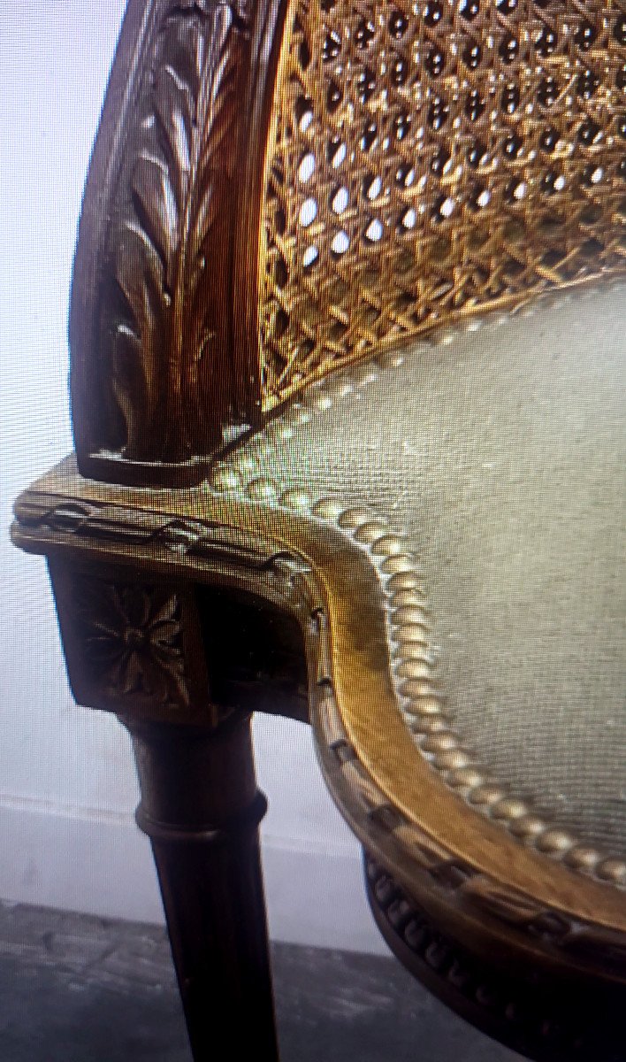 Office Armchair, 4 Feet, Louis XVI Style Cane-photo-2