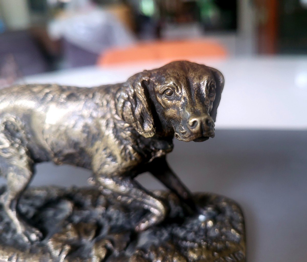 French Spaniel Dog, Bronze (fabio) N 1 Pj Mene - XIXth-photo-2