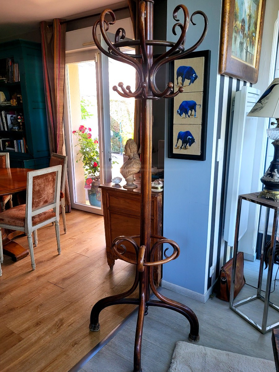 Parrot Coat Rack, Art Nouveau, Thonet Sign-photo-4
