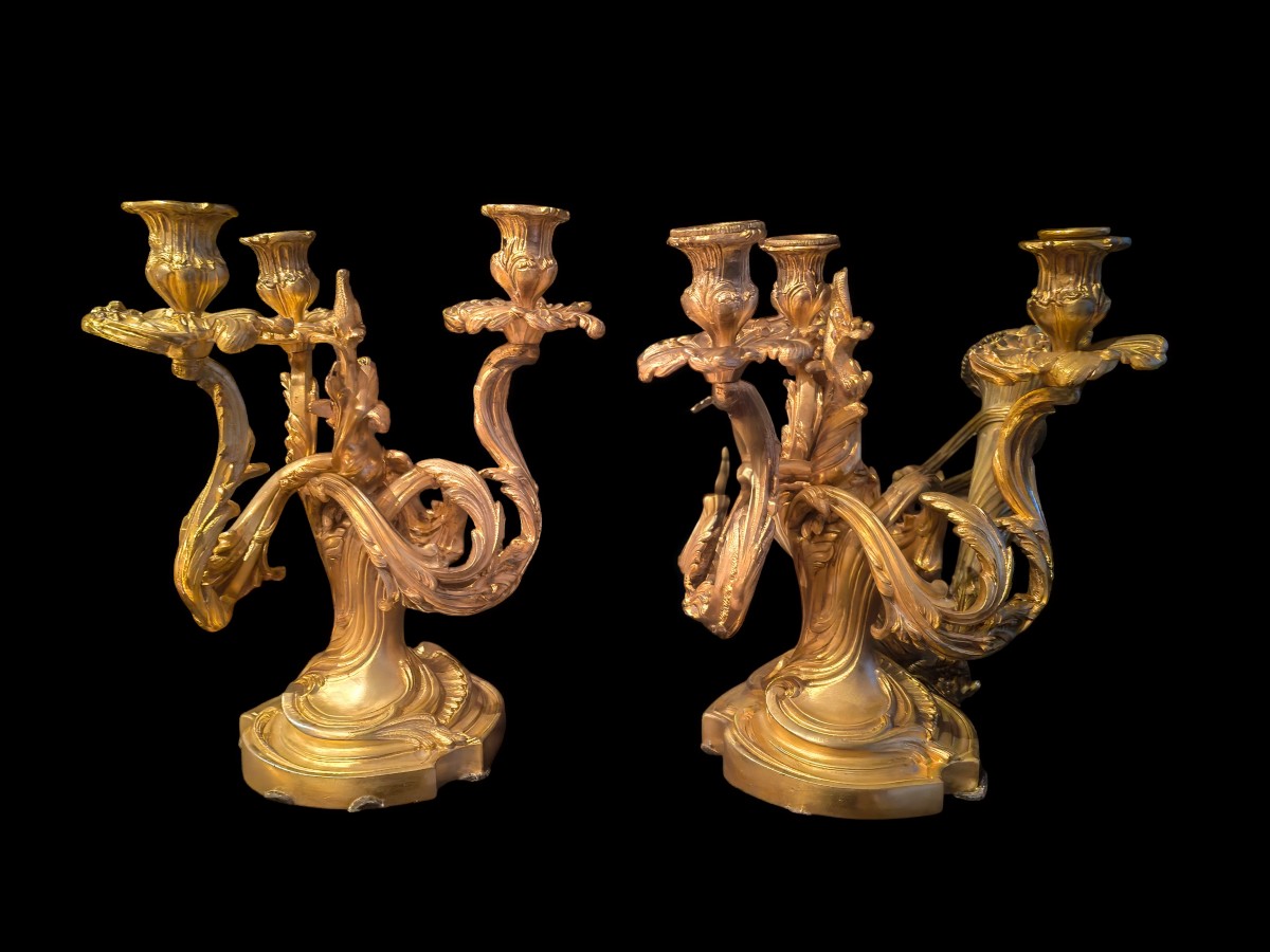 Pair Of Gilt Bronze Candelabra, Louis XV-xix