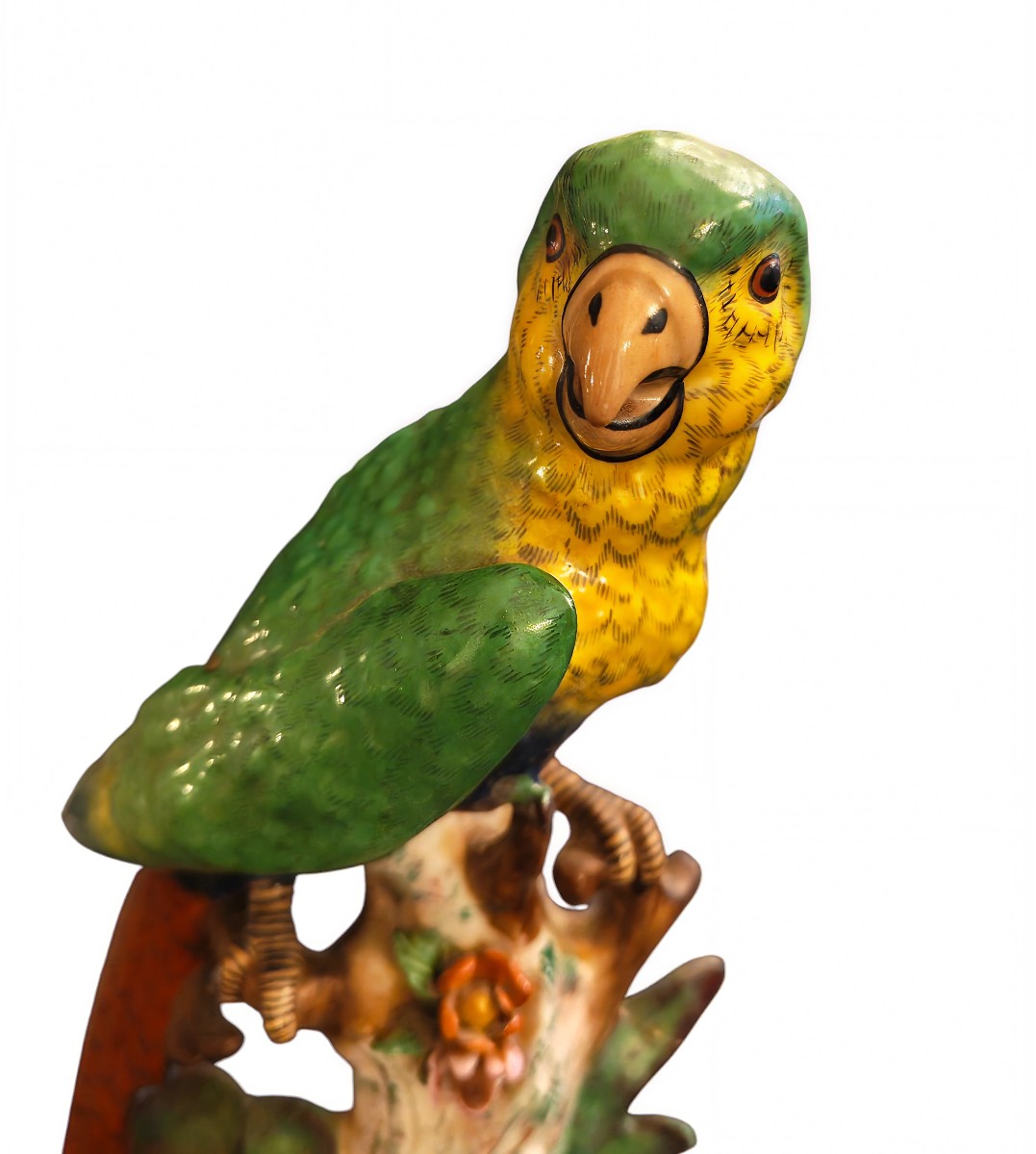 Small Macaw Parrot, Uncommon Model, Signed Capodimonte - 20th Century-photo-2