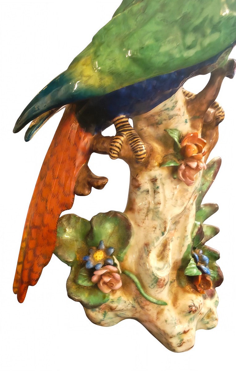 Small Macaw Parrot, Uncommon Model, Signed Capodimonte - 20th Century-photo-3