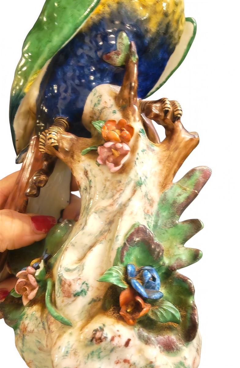 Small Macaw Parrot, Uncommon Model, Signed Capodimonte - 20th Century-photo-4