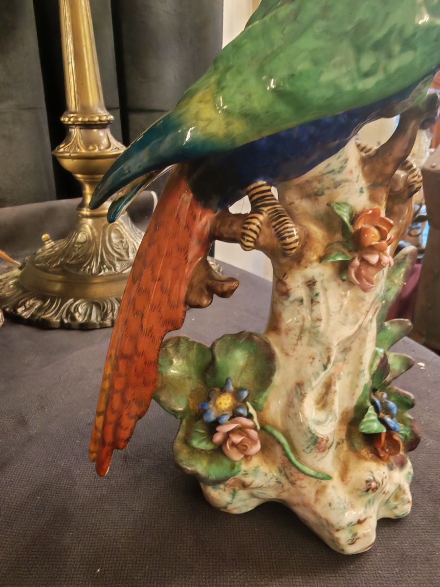 Small Macaw Parrot, Uncommon Model, Signed Capodimonte - 20th Century-photo-5