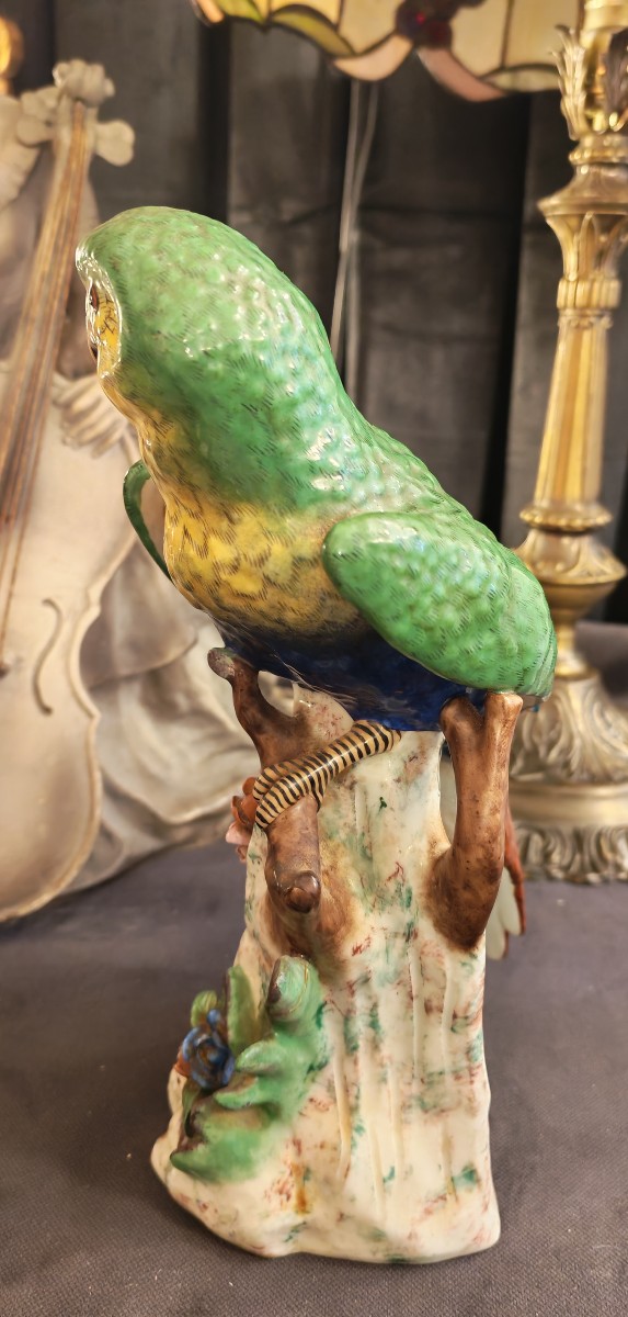 Small Macaw Parrot, Uncommon Model, Signed Capodimonte - 20th Century-photo-7