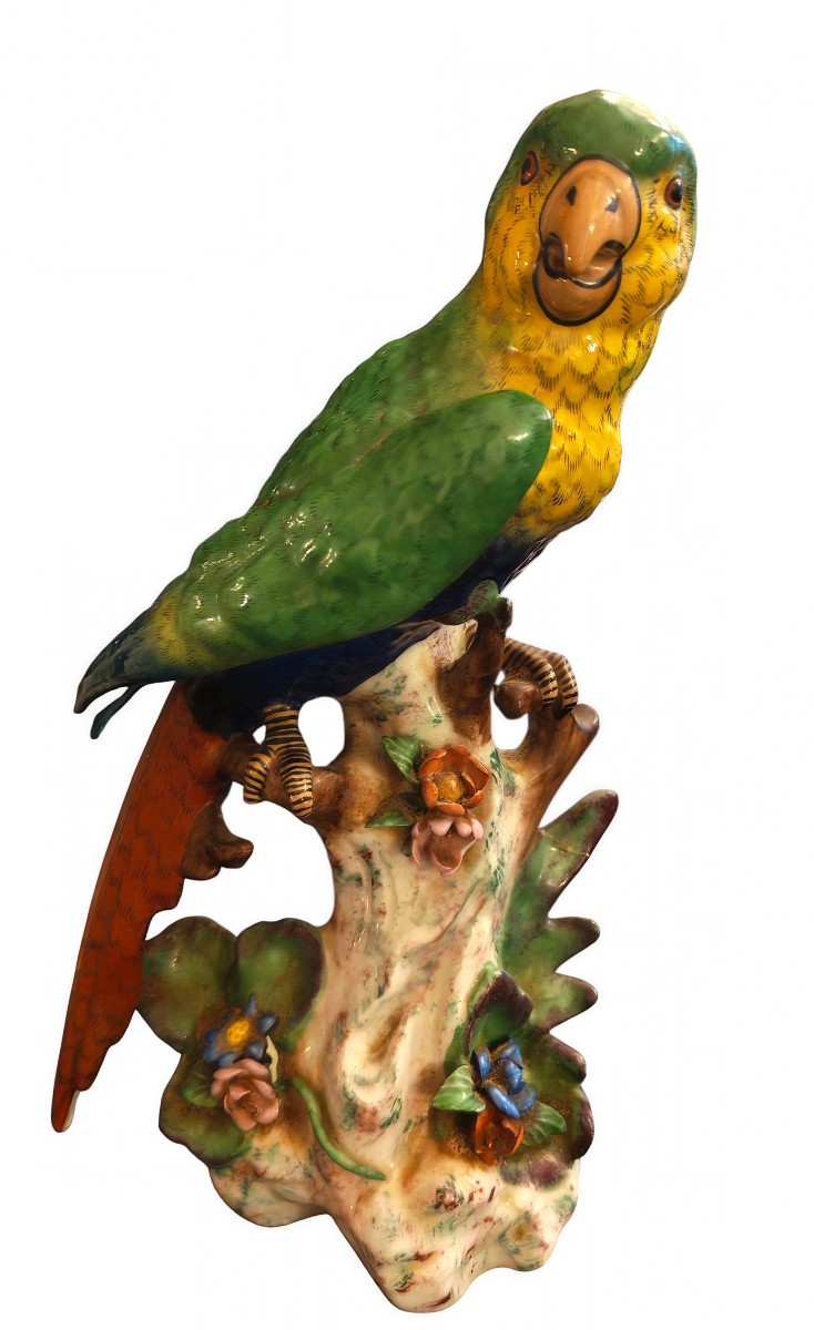 Small Macaw Parrot, Uncommon Model, Signed Capodimonte - 20th Century