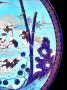1597626-6894adc02d423.jpg