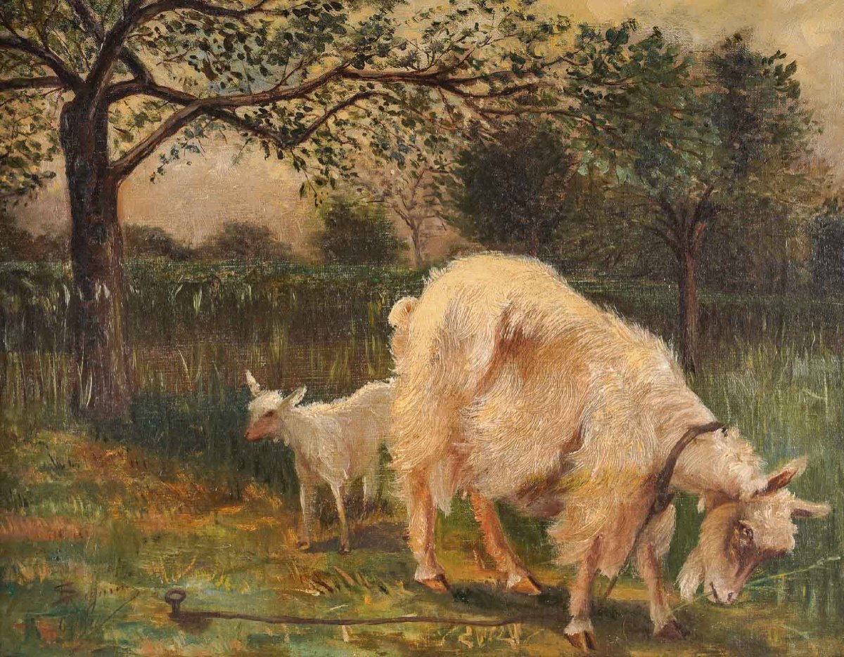 Deux Chèvres dans un champs " F. Seguin "-photo-2