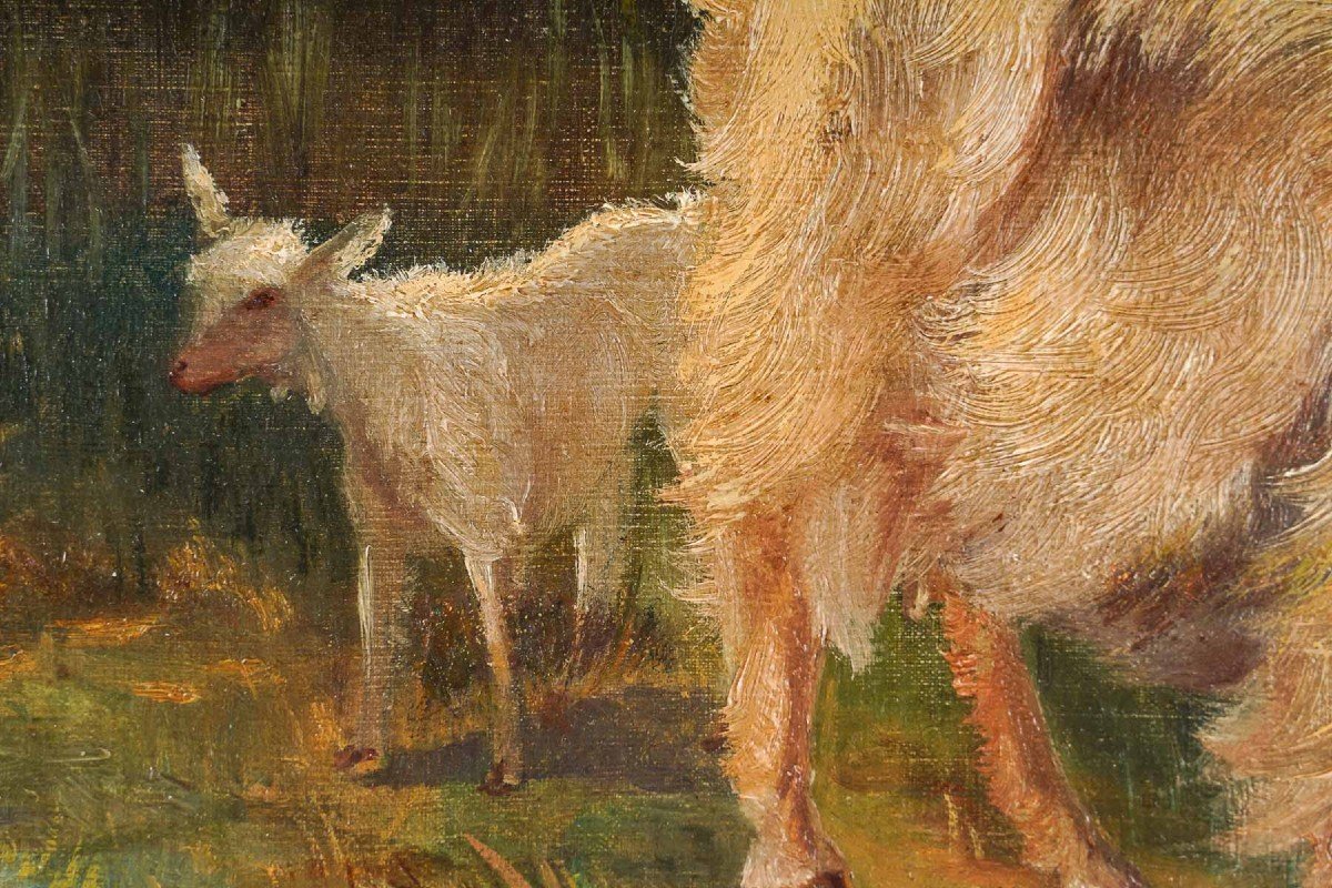 Deux Chèvres dans un champs " F. Seguin "-photo-3