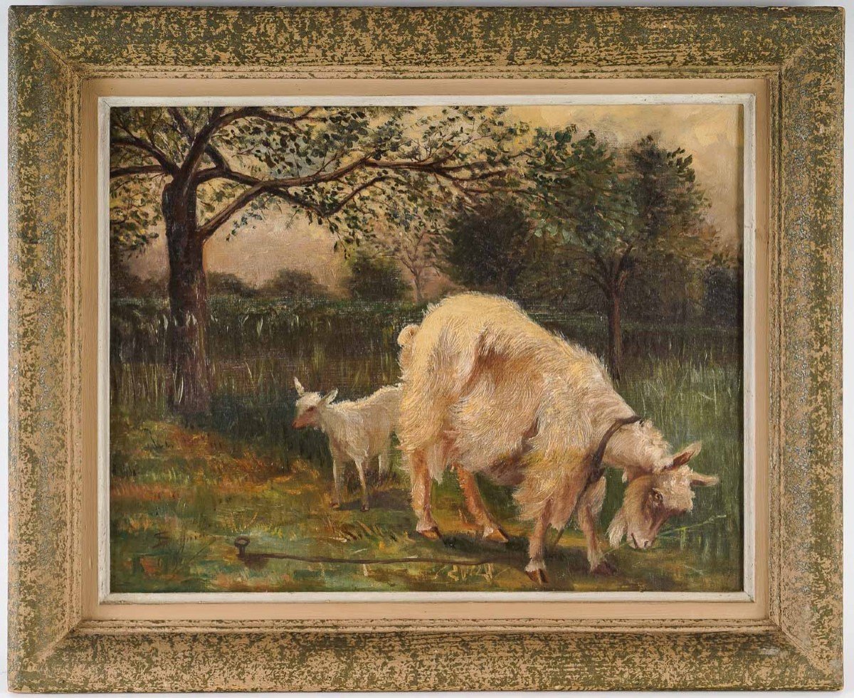 Deux Chèvres dans un champs " F. Seguin "