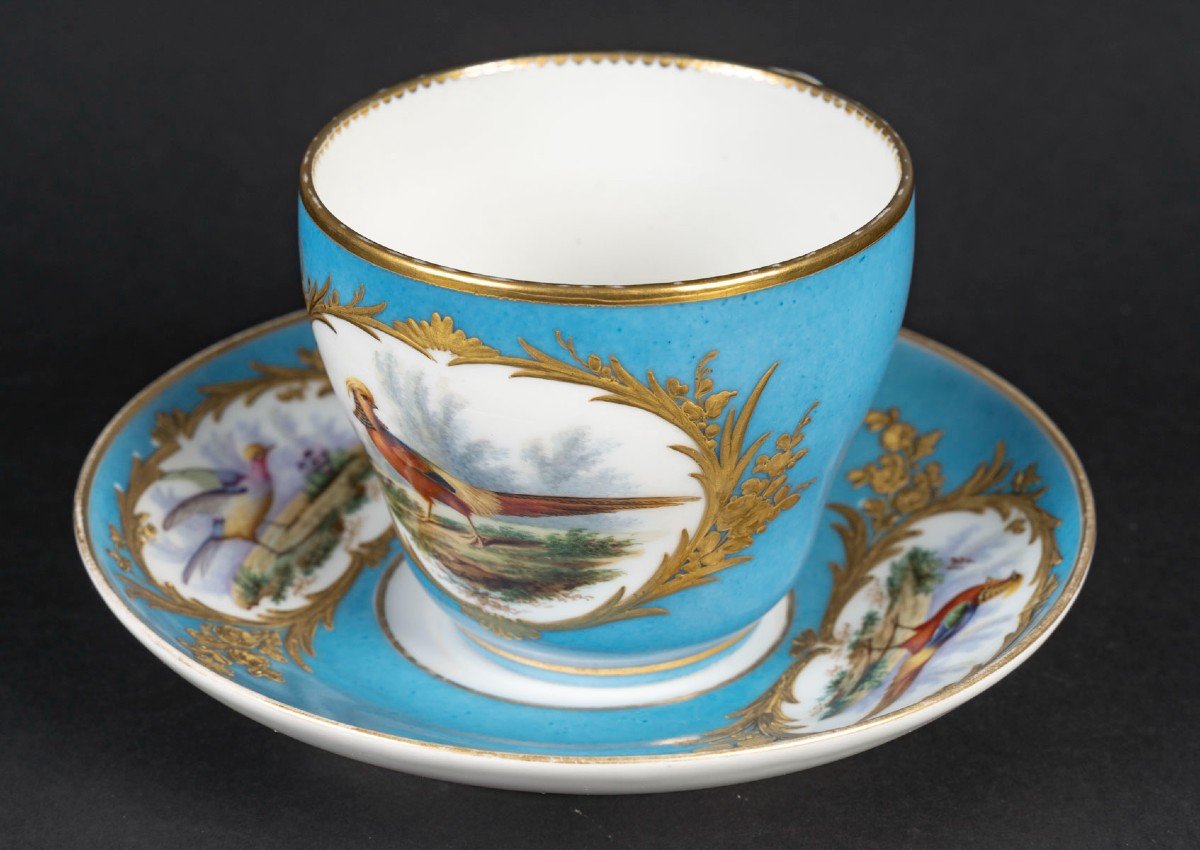 Grande Tasse Paris " Boyer" Aux Oiseaux Polychromes Sur Fond Bleu Céleste( 1840),