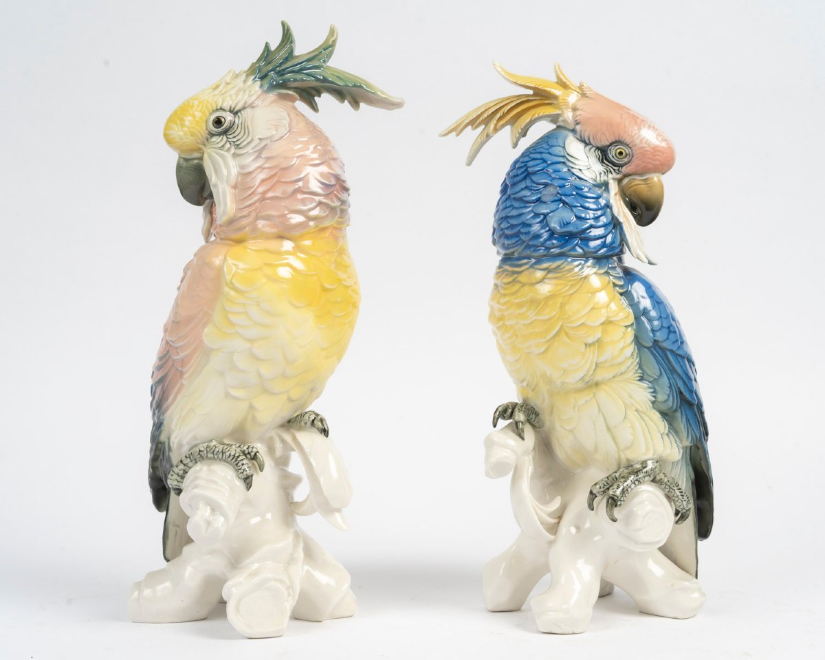 Sone Pair Of Perrots Pink And Blue-photo-2