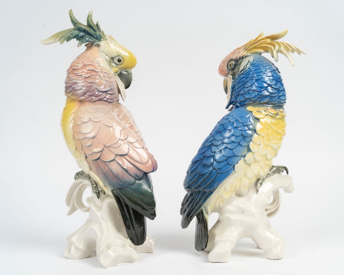 Sone Pair Of Perrots Pink And Blue-photo-3