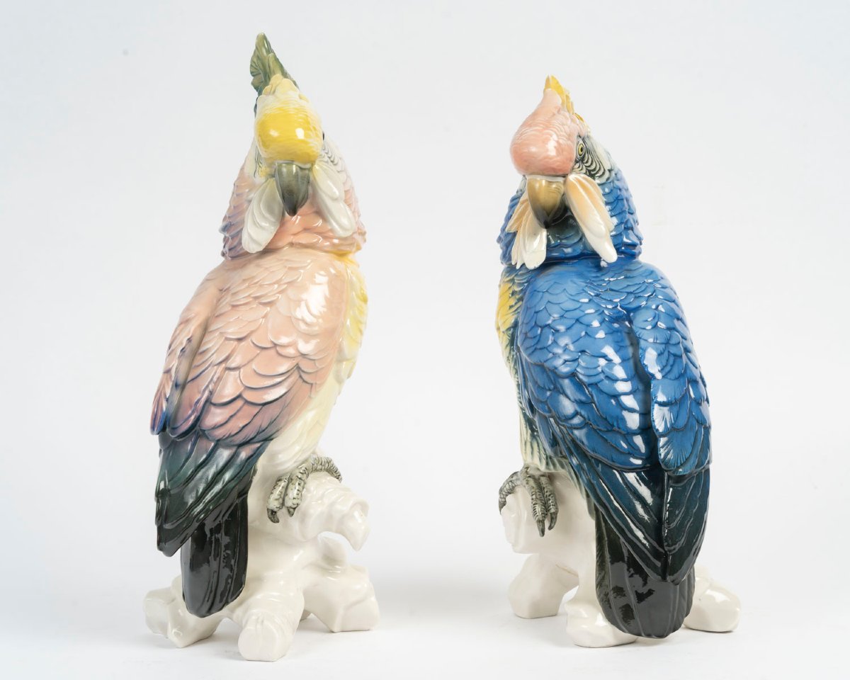 Sone Pair Of Perrots Pink And Blue-photo-4