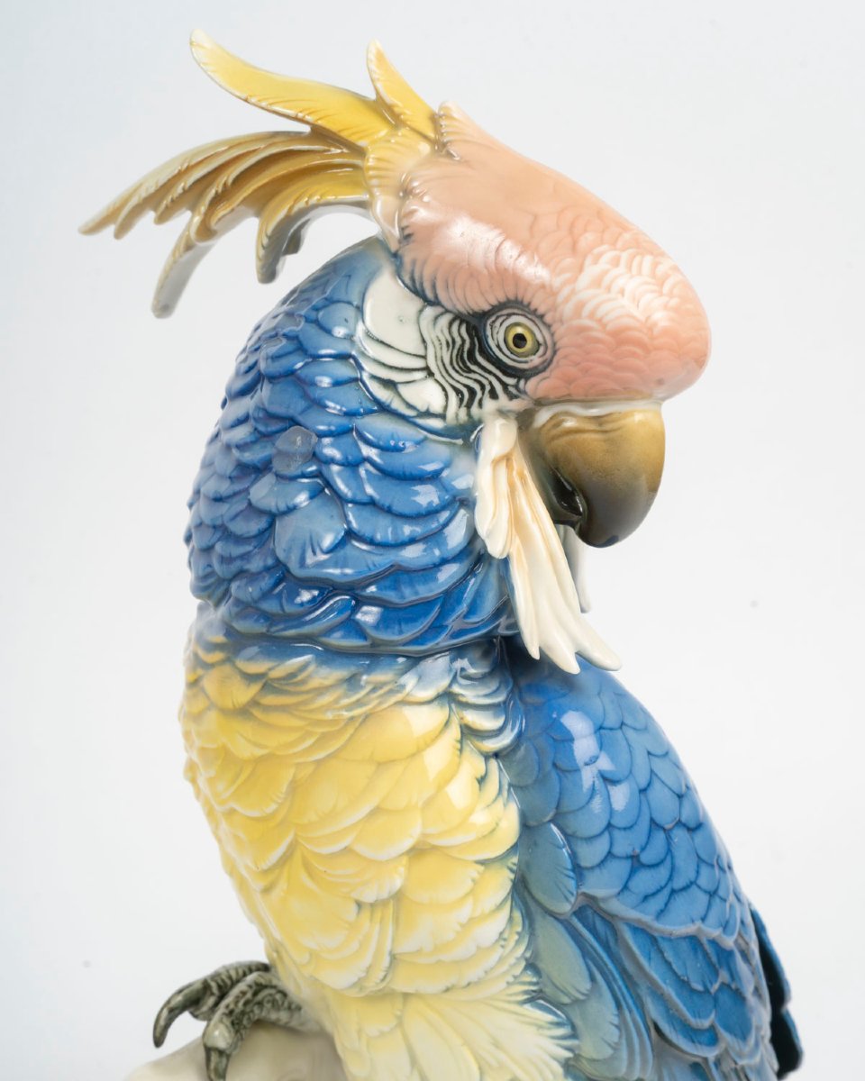 Sone Pair Of Perrots Pink And Blue-photo-1