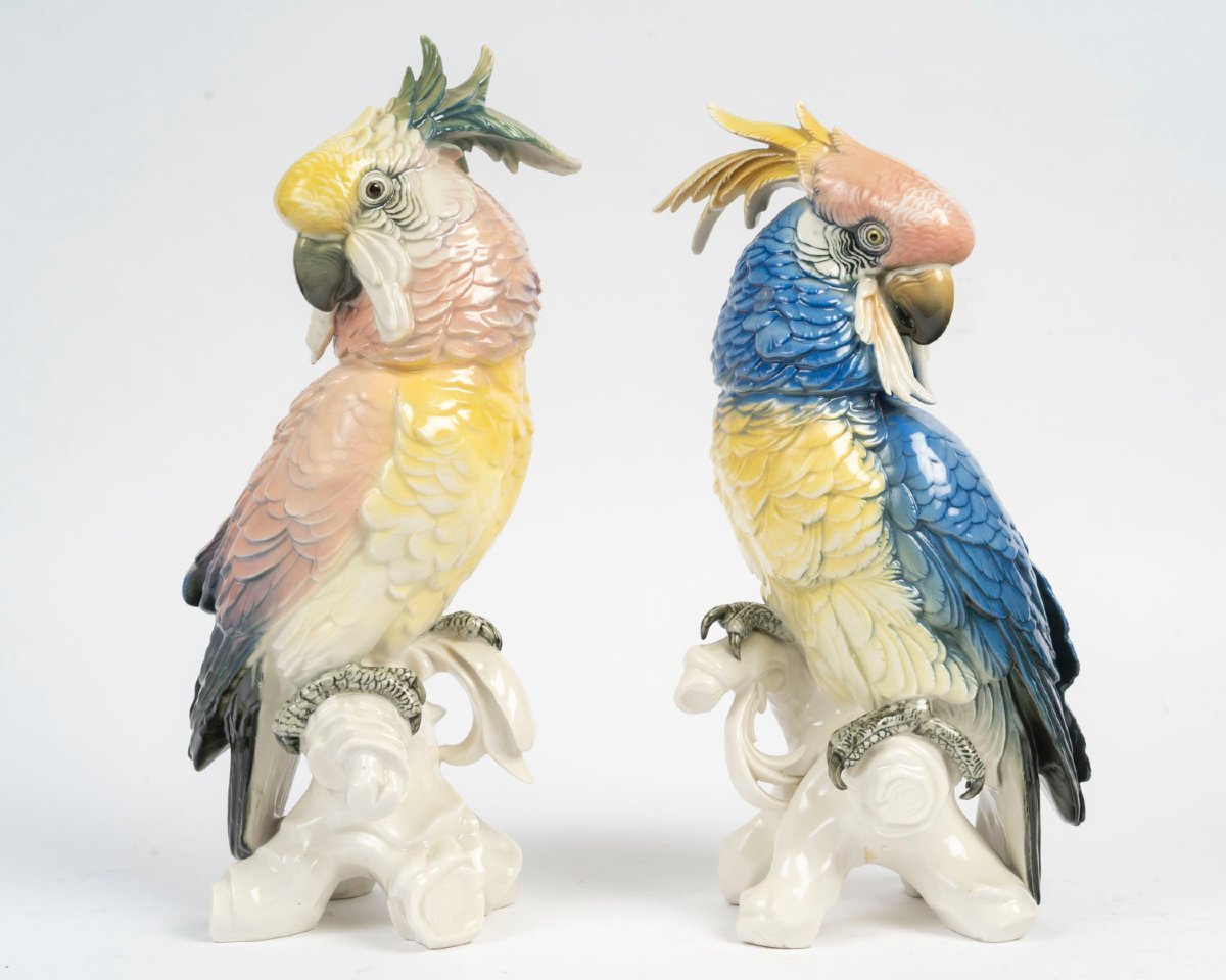 Sone Pair Of Perrots Pink And Blue-photo-3