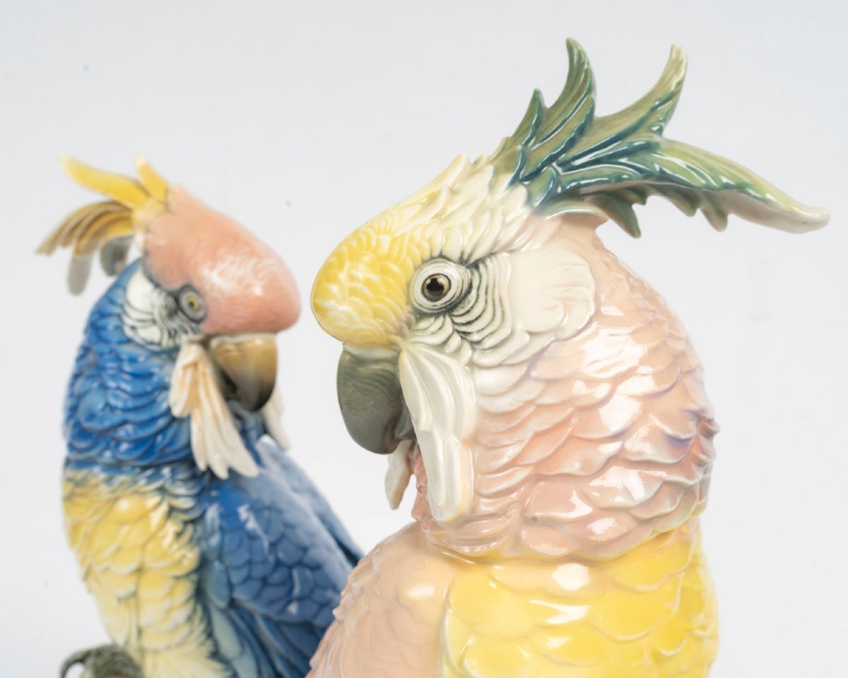 Sone Pair Of Perrots Pink And Blue-photo-6