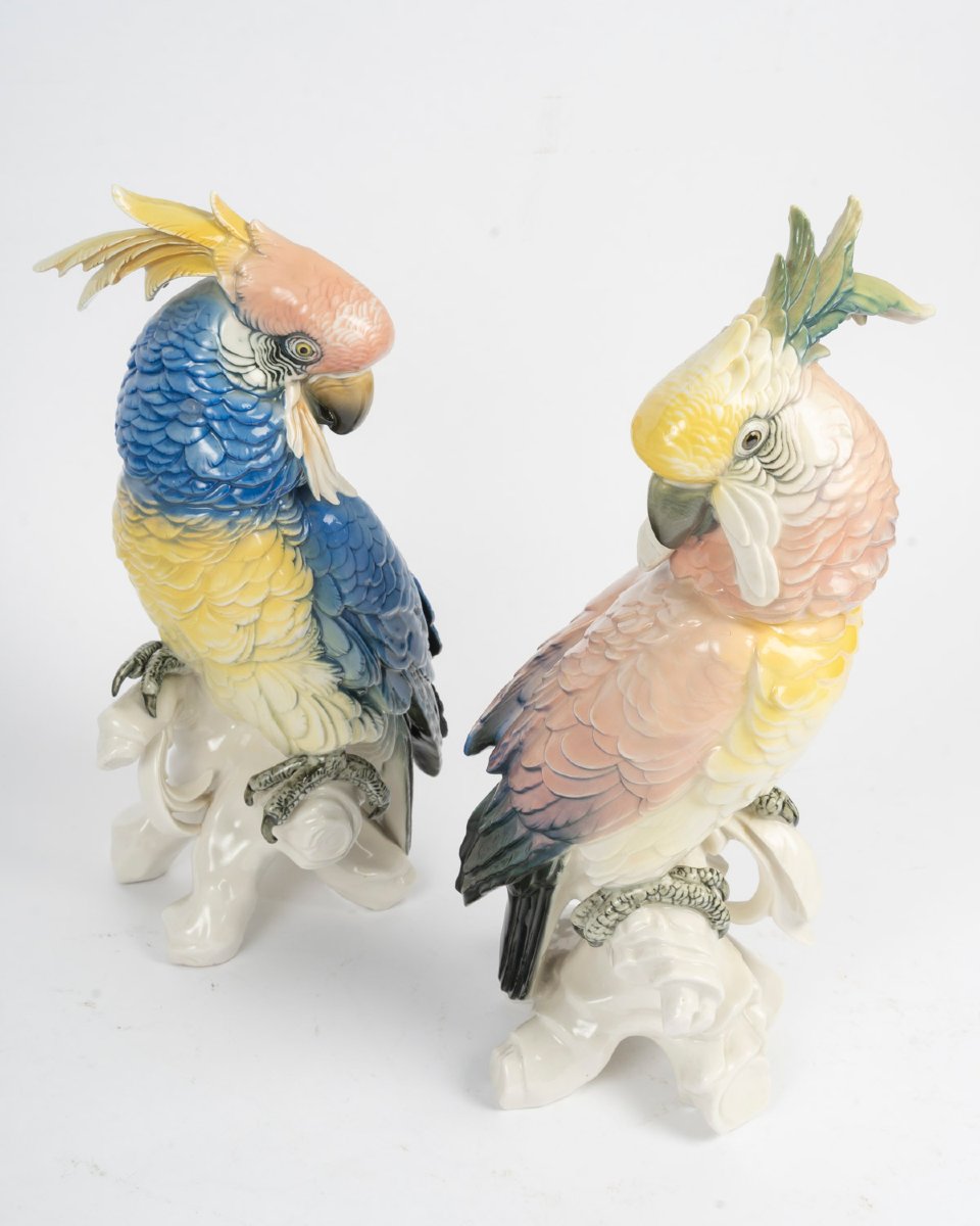 Sone Pair Of Perrots Pink And Blue