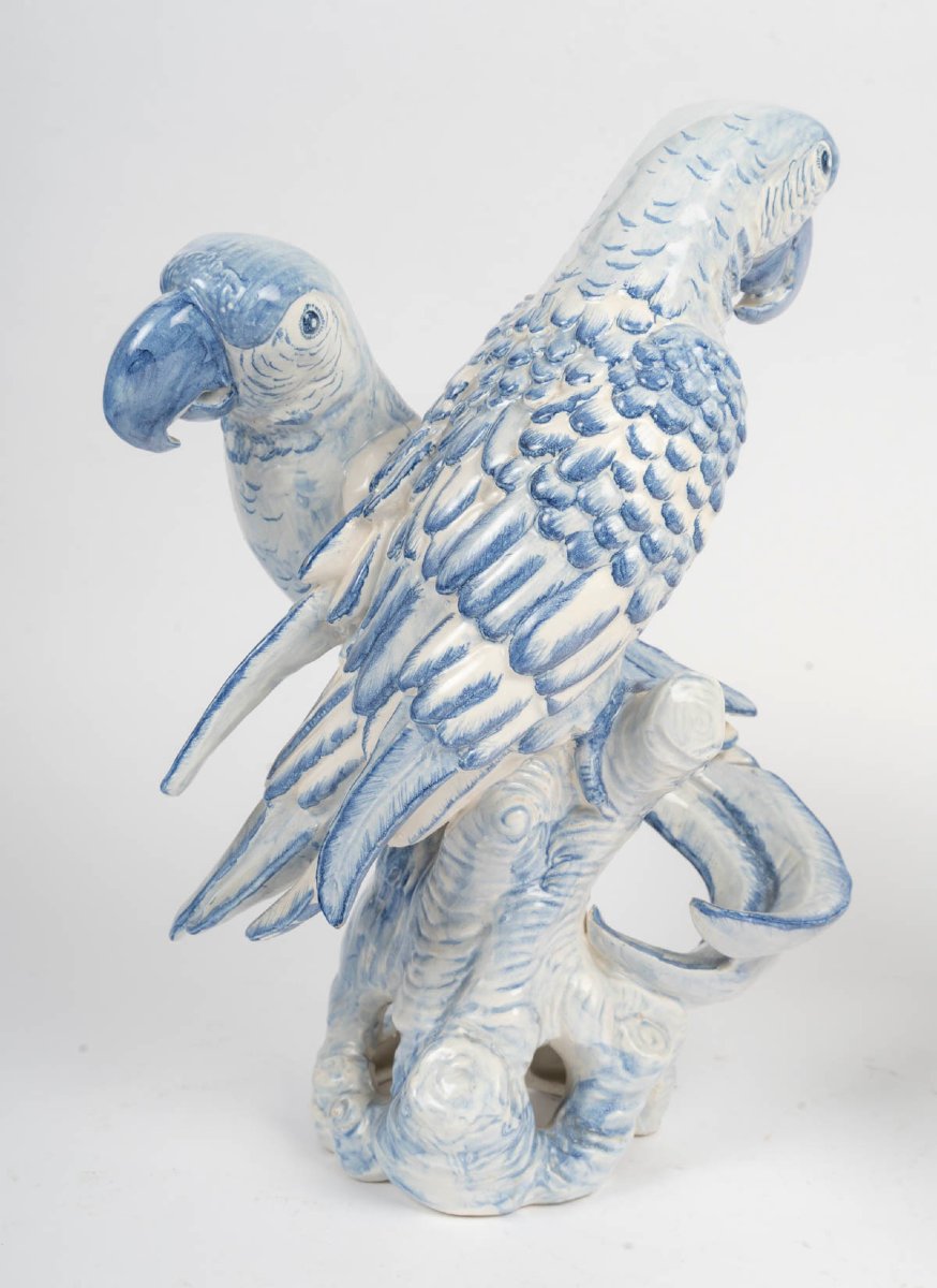Two Groups Of Two "e. Bassamo" Parrots From The Late 19th Century-photo-2
