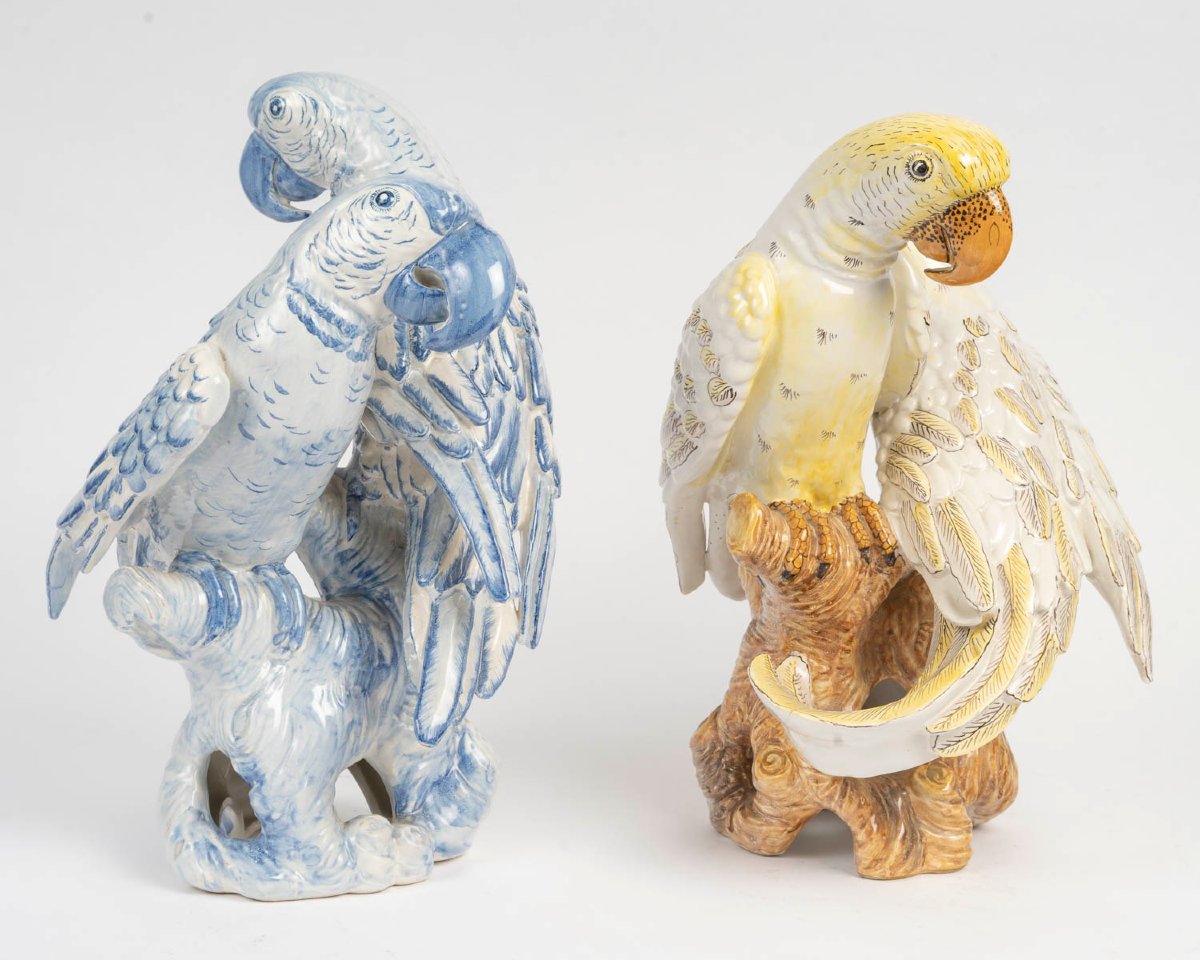 Two Groups Of Two "e. Bassamo" Parrots From The Late 19th Century-photo-4