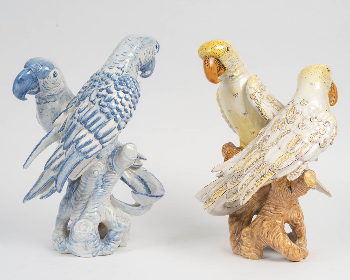 Two Groups Of Two "e. Bassamo" Parrots From The Late 19th Century