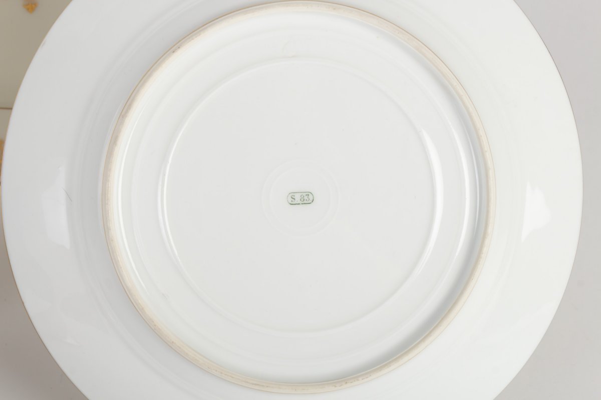 12 Plates And A Display: Manufacture De Sèvres 1883-photo-1