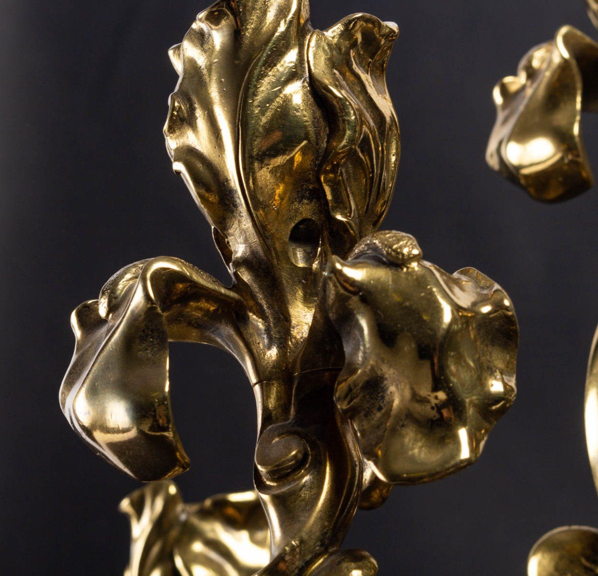 Pair Of Bronze Iris Candlesticks-photo-4