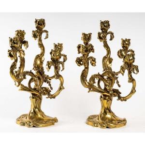 Pair Of Bronze Iris Candlesticks