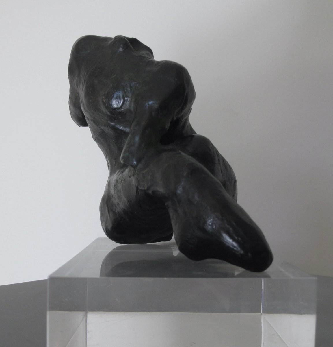 Dynamique des volumes, force expressive - Bronze Susse - Henri-Paul Derycke -photo-3