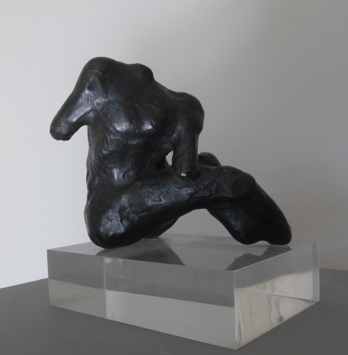 Dynamique des volumes, force expressive - Bronze Susse - Henri-Paul Derycke -photo-1