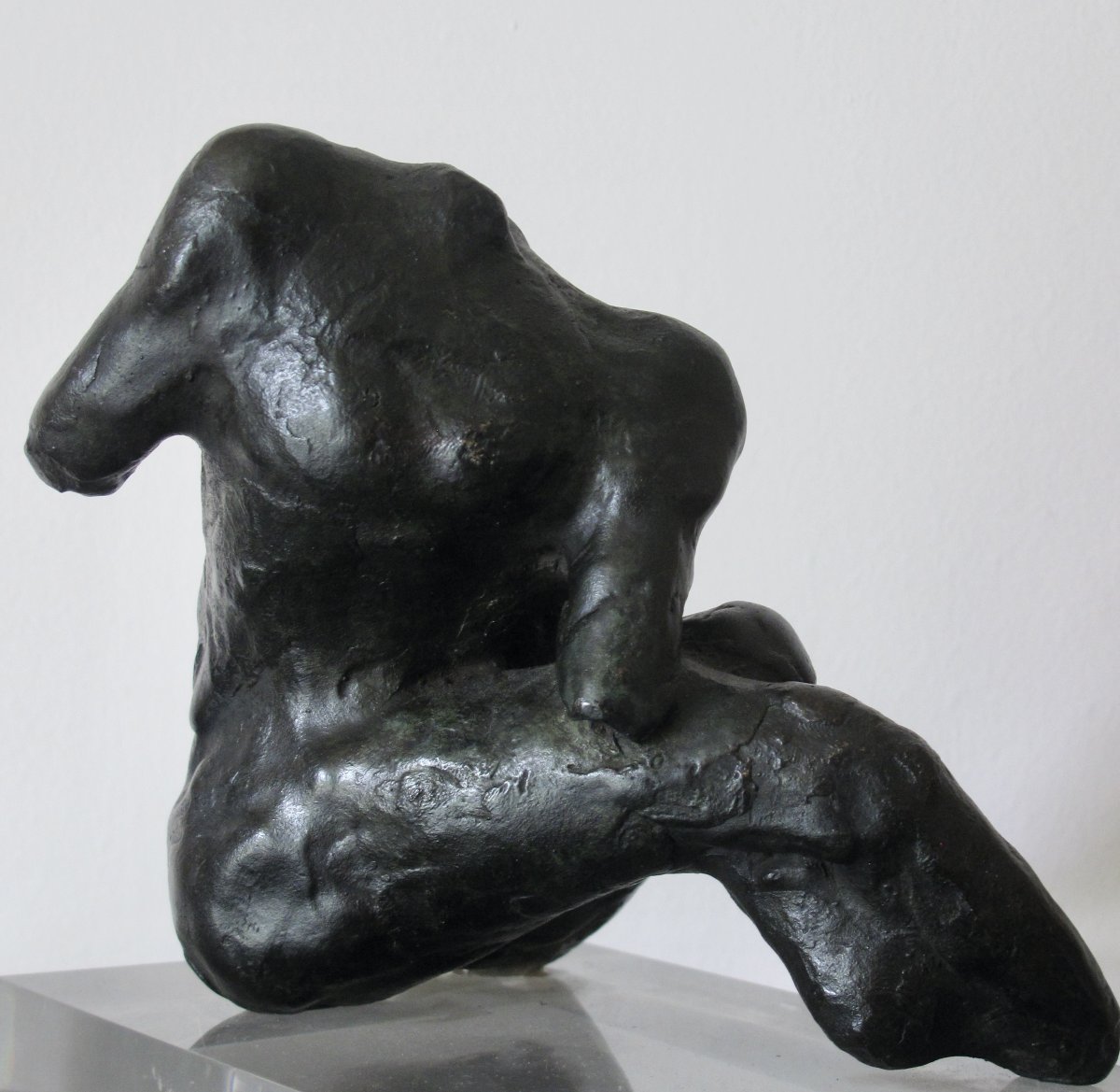 Dynamique des volumes, force expressive - Bronze Susse - Henri-Paul Derycke 