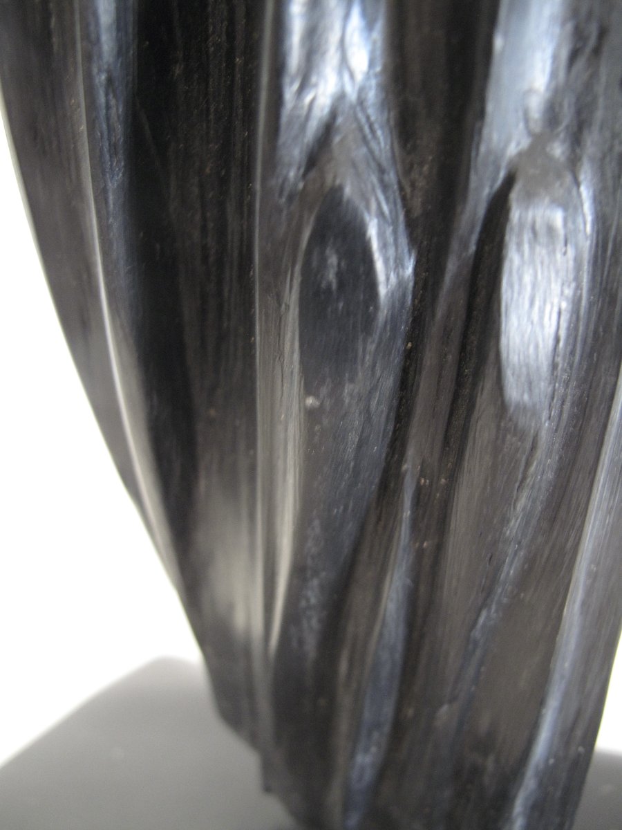 Clean Lines, A Dynamic Shape - Colette Vignier, Known As Cov -photo-3