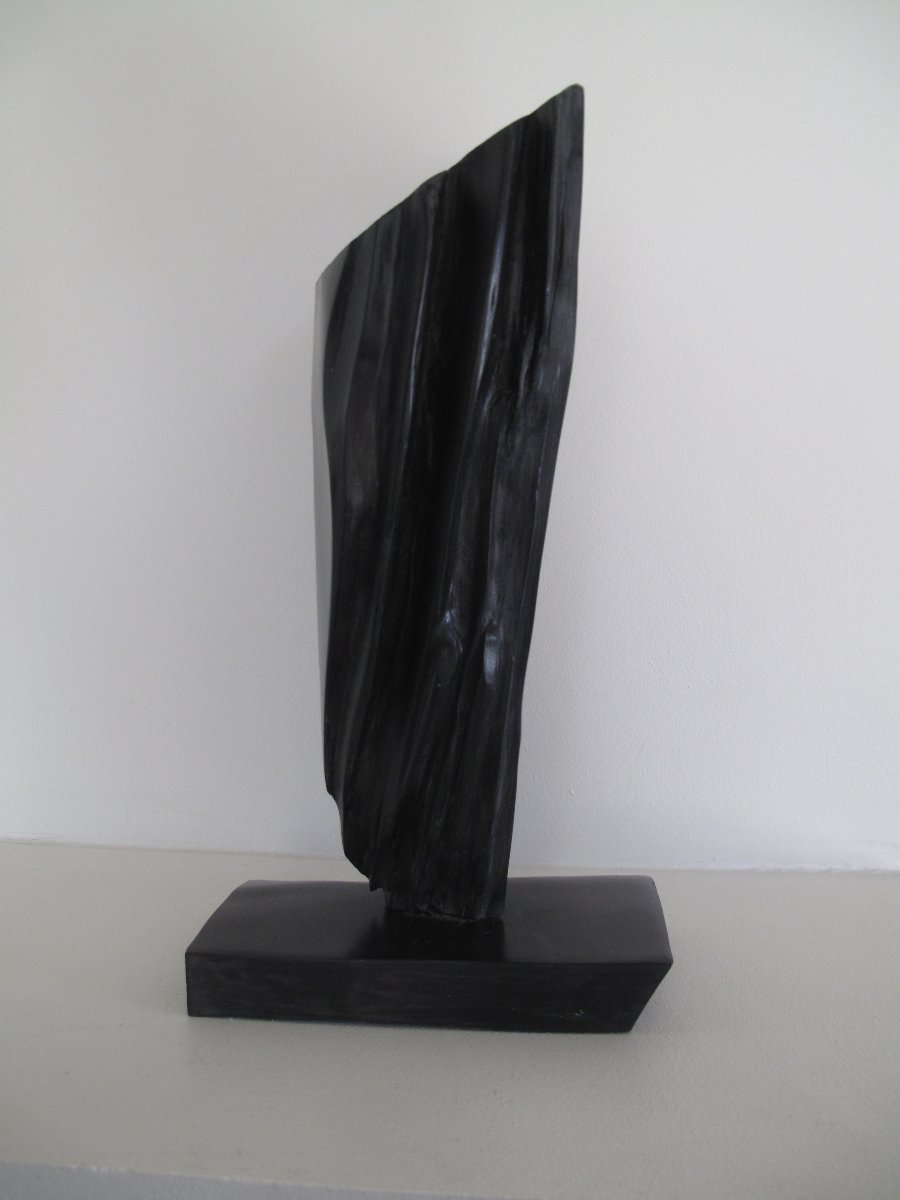 Clean Lines, A Dynamic Shape - Colette Vignier, Known As Cov -photo-1
