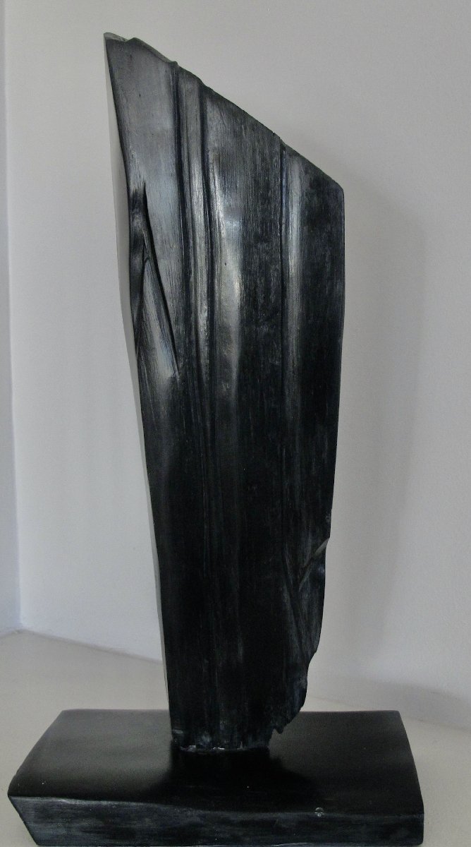 Clean Lines, A Dynamic Shape - Colette Vignier, Known As Cov 