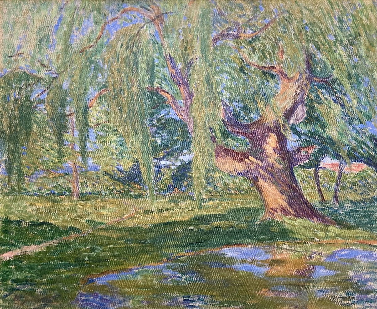 Pinot, Albert