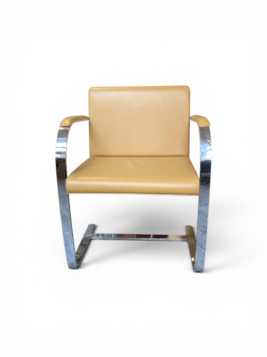 Mies Van Der Rohe, Ludwig-photo-2