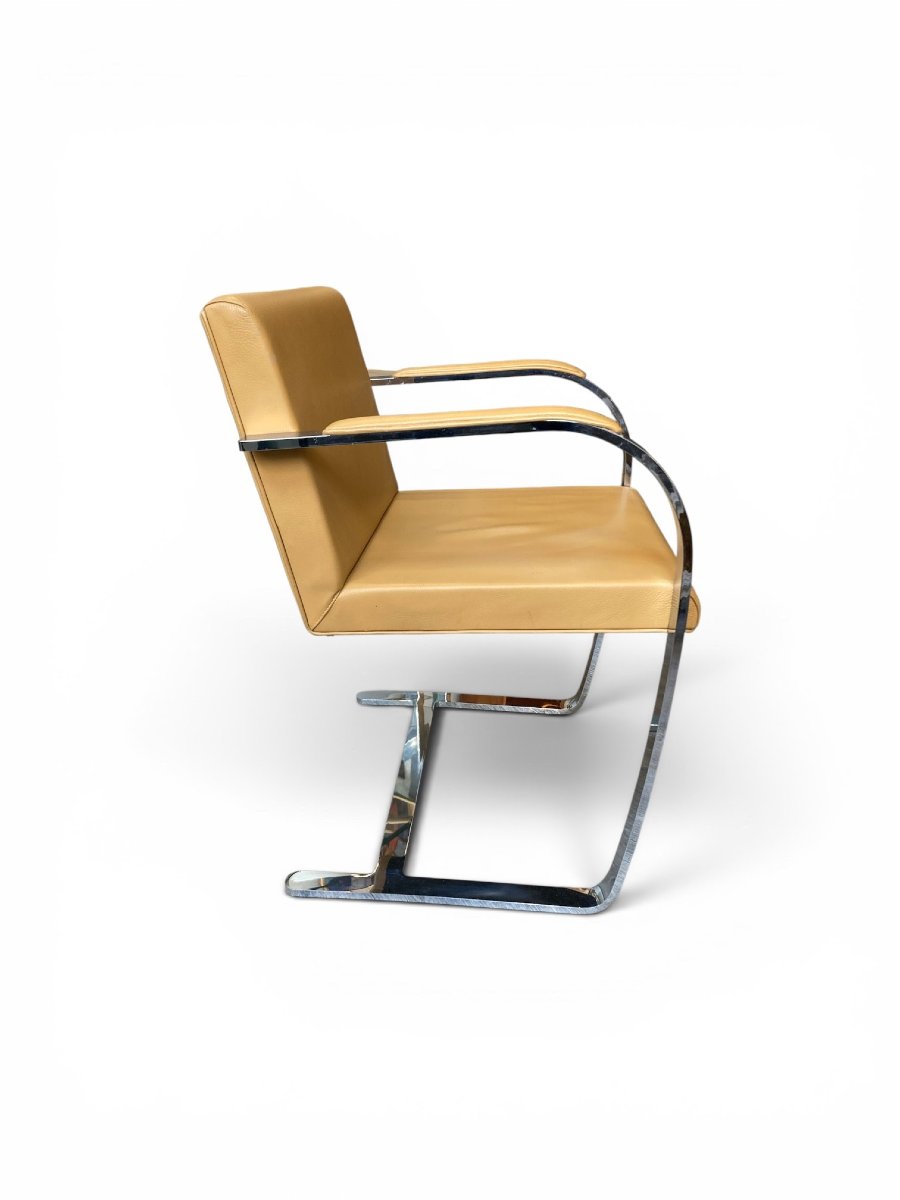 Mies Van Der Rohe, Ludwig-photo-4