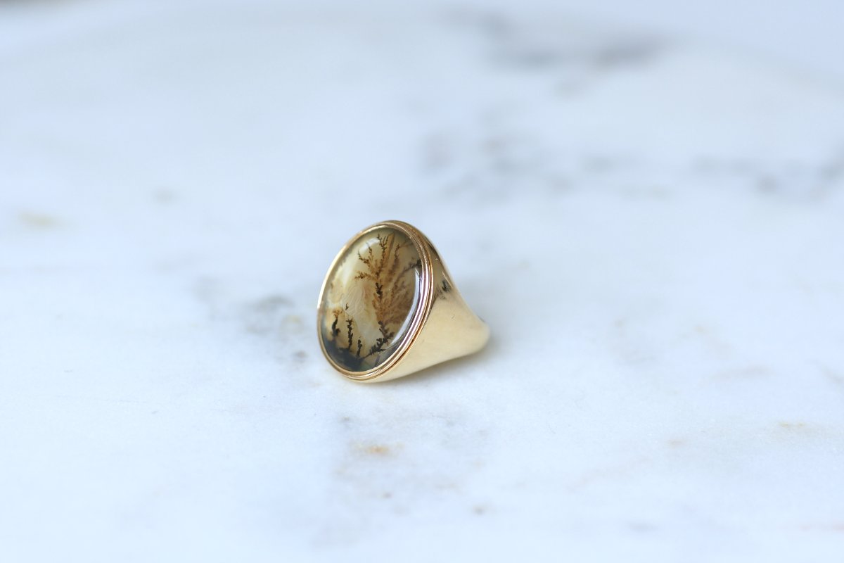 Victorian Antique Dendritic Agate Signet Ring In Yellow Gold, 19th Century, 1815-photo-1