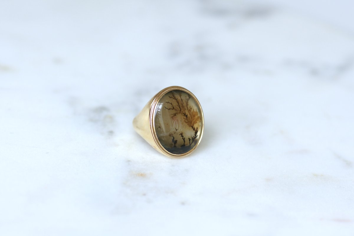 Victorian Antique Dendritic Agate Signet Ring In Yellow Gold, 19th Century, 1815-photo-5