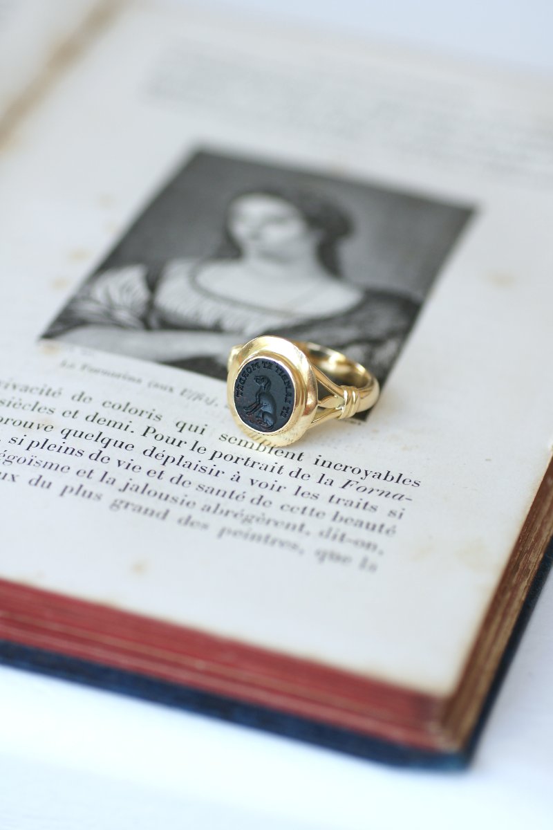 Bague Ancienne Chevalière Intaille Chien Jaspe Sanguin sur Or Jaune-photo-4