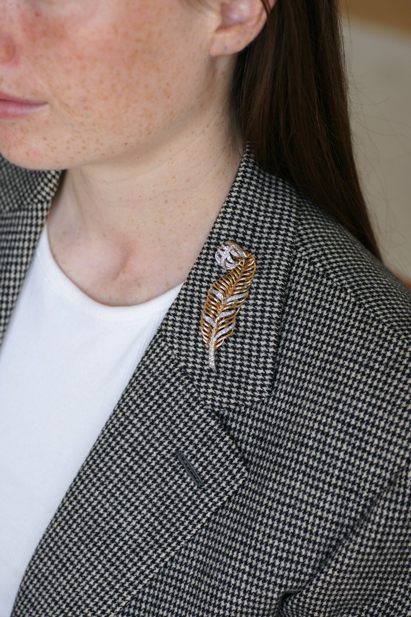 2.50-carat Diamond Feather Brooch On Rose Gold And Platinum, 1950s-photo-2