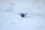 1770615-6a1e95571ce72.jpg