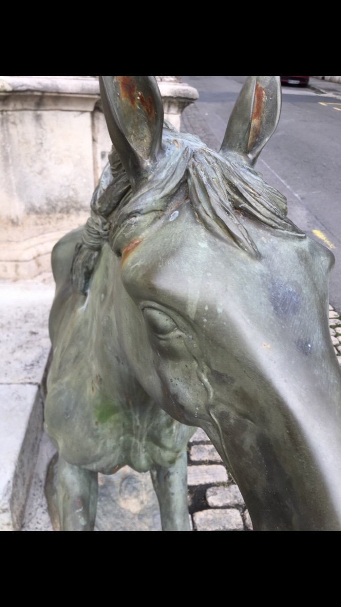 Cheval En Bronze Sculpture équitation Hippisme -photo-3
