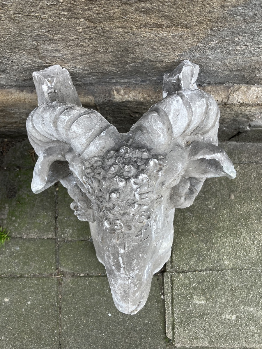 Plaster Ram's Head 18th Century Sculpture -photo-2