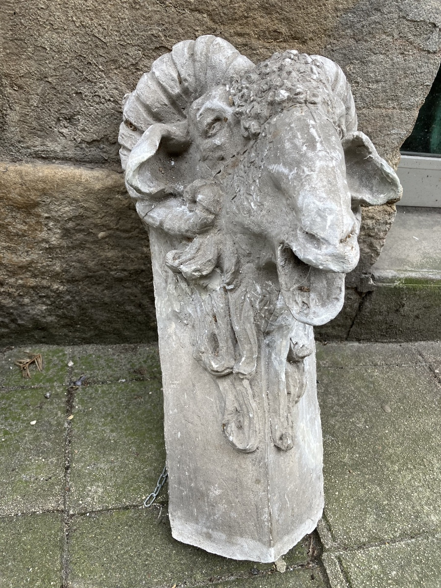 Plaster Ram's Head 18th Century Sculpture 