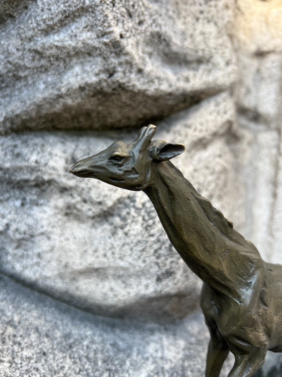 Bronze girafe sculpture animalière Milo giraffa zaraffa -photo-2